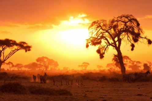 Afbeeldingen van African sunset