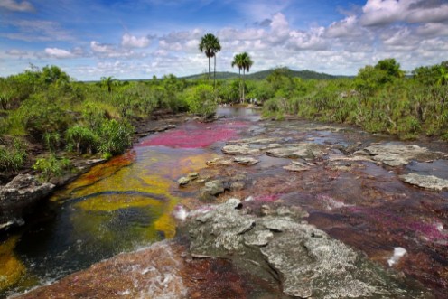 Afbeeldingen van The river Canio Cristales is commonly called the River of Five Colors or the Liquid Rainbow