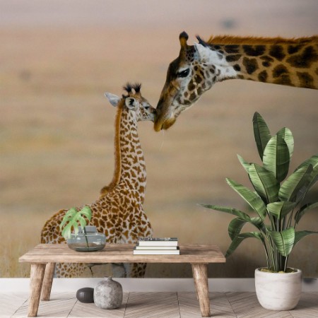 Picture of Female giraffe with a baby in the savannah Kenya Tanzania East Africa An excellent illustration