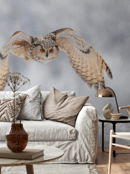 Bild på Flying owl in snow