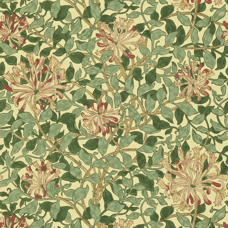 Picture of Coloring - Honeysuckle Green/Coral Pink - DMC1HS102 - 00463-01