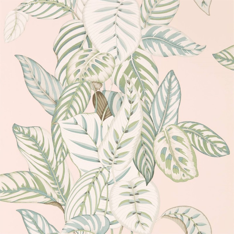 Picture of Coloring - Calathea Orchid/Eucalyptus - 216632 - 03546-01