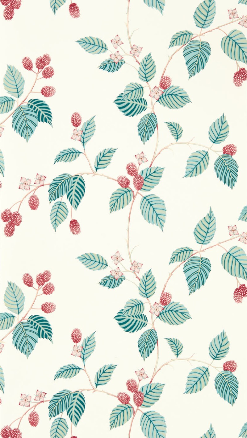 Image de Coloration - Rubus Raspberry - DABW217228 - 03657-01