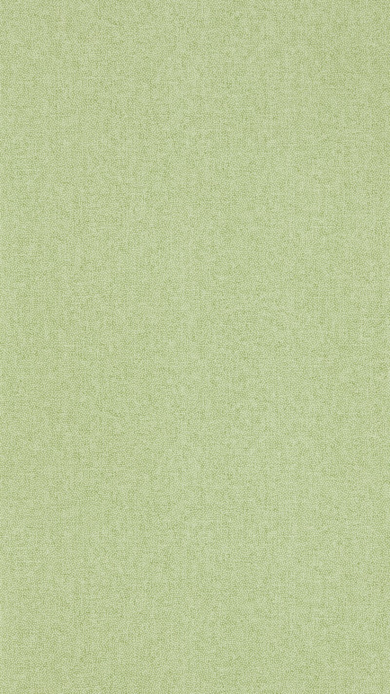 Picture of Farvesammensætning - Sessile Plain Moss Green - DABW217248 - 03676-01