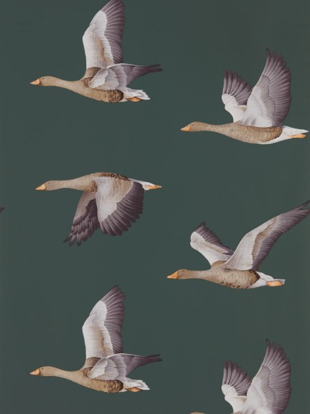 Picture of Fargesammensetning - Elysian Geese Amsterdam Green - DYSI216608 - 03691-01