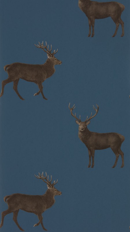 Picture of Coloring - Evesham Deer Indigo - DYSI216620 - 03693-01