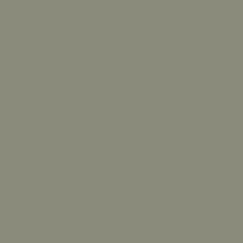 Picture of Coloring - Light Olive - 7977 - 00200-01