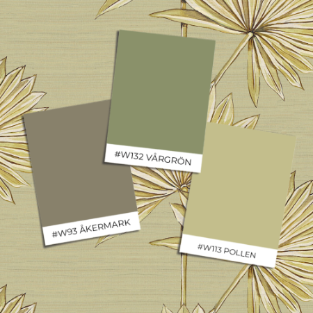 Picture of Coloring - Palmetto Sage - 03809-01