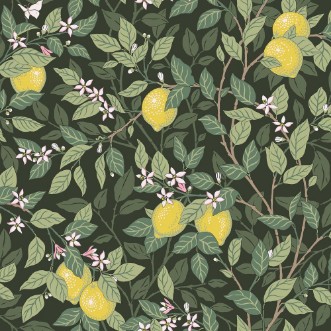 Citronträd - 5701 wallpaper 