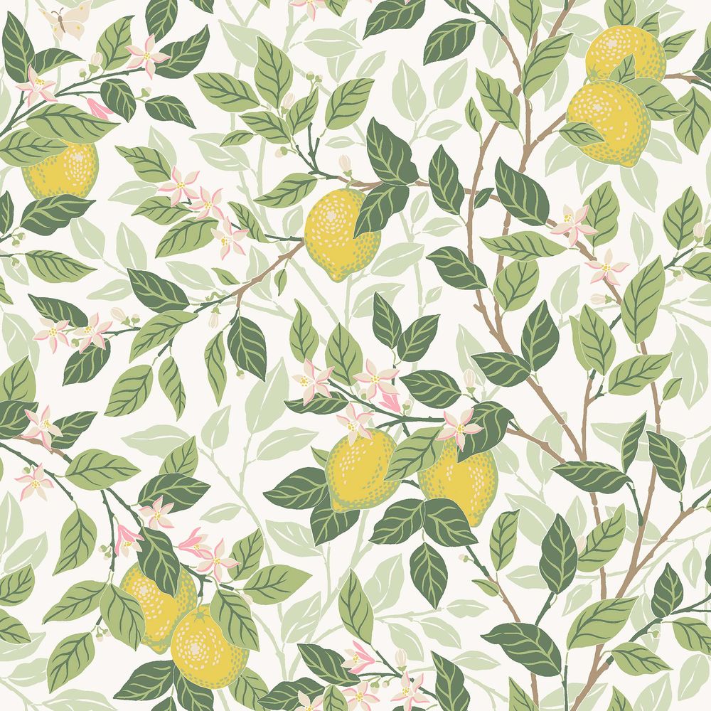 Citronträd - 5702 wallpaper Boråstapeter