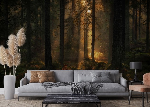 The light in the forest photowallpaper Scandiwall