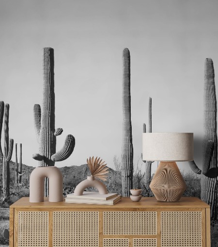 Grey Cactus land photowallpaper Scandiwall