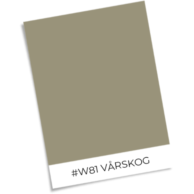 Immagine di Colorazione Alba Dusty Green - 1014701-02 - 04222-01