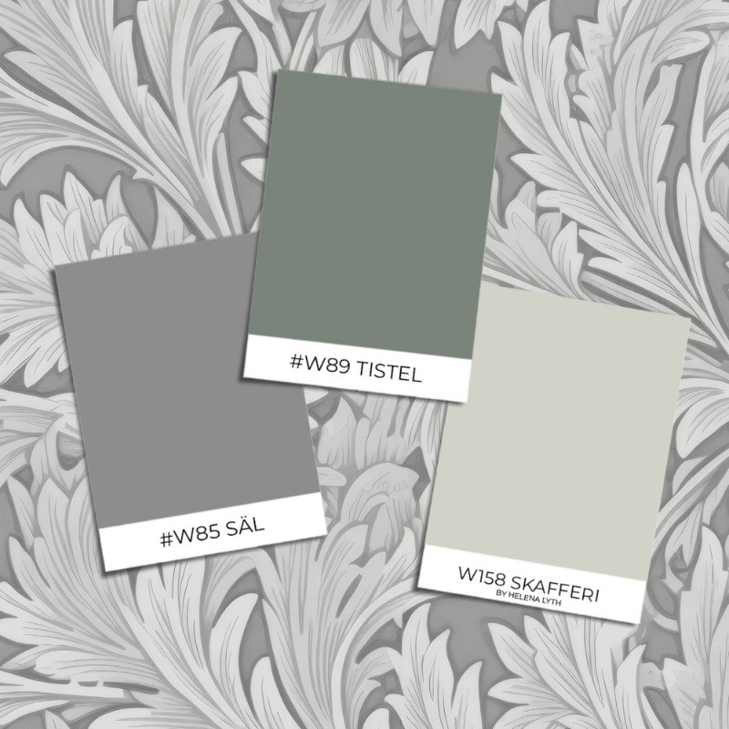 Image de Coloration - Kenza Grey - 1019002-02 - 04266-01