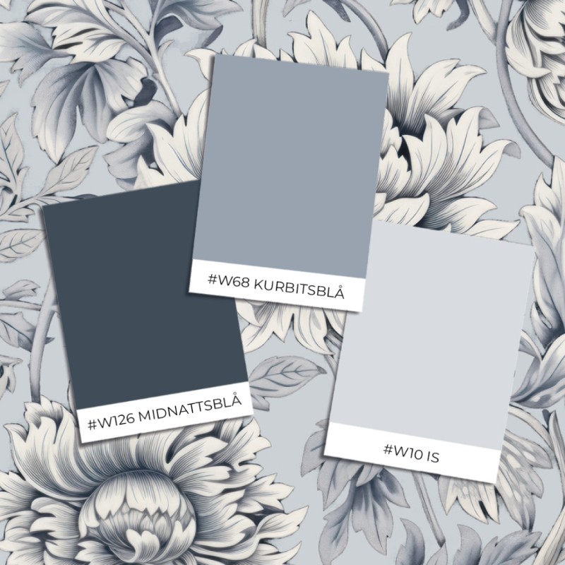 Image de Coloration - Tess Ice Blue - 1019602-03 - 04291-01