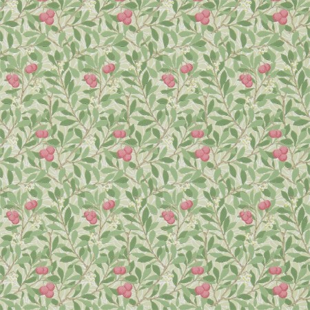 Picture of Arbutus Olive/Pink - DM3W214720-OUTLET