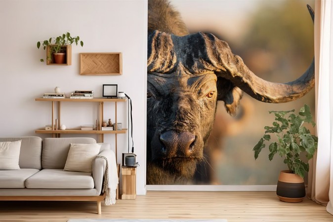 Buffalo in Bushveld photowallpaper Scandiwall