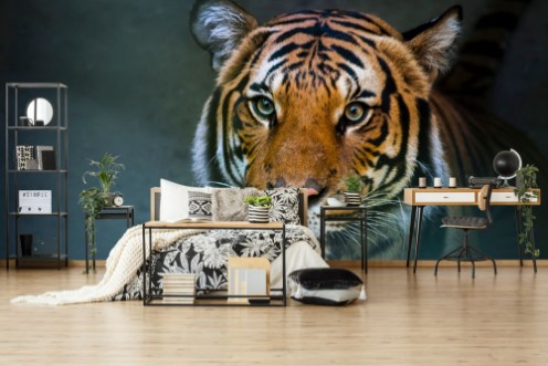 Siberian tiger sitting in water photowallpaper Scandiwall