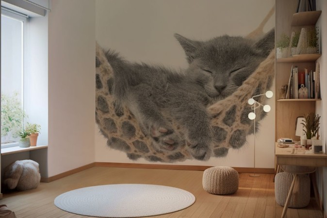 Cute gray kitten lying in hammock photowallpaper Scandiwall