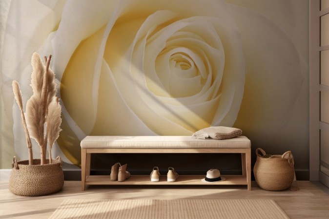 Beautiful fresh white rose photowallpaper Scandiwall