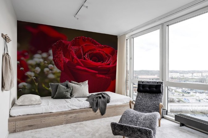 A red rose in the foreground photowallpaper Scandiwall