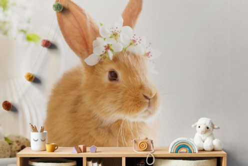 Little rabbit with spring flowers and Easter eggs photowallpaper Scandiwall