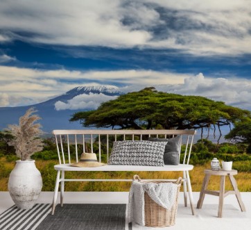 Beautiful African landscape on the background of Kilimanjaro Ke photowallpaper Scandiwall