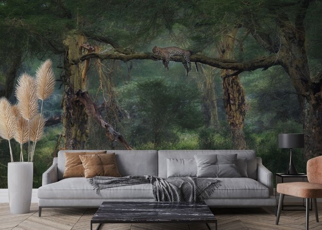 The Jungle Book photowallpaper Scandiwall