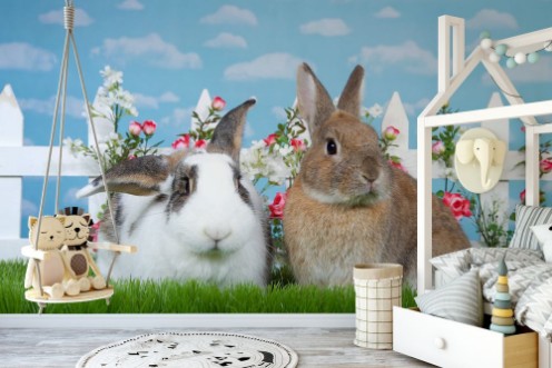 Brown dwarf rabbit sitting in green grass next to white and brown lop eared bunny facing viewer White picket fence with small pink roses Blue background sky with clouds Copy space photowallpaper Scandiwall