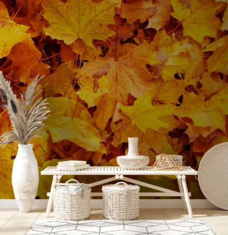 Herbst photowallpaper Scandiwall