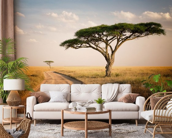 African Landscape - Tanzania photowallpaper Scandiwall