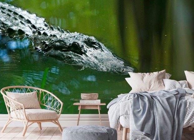 Sneaky crocodile photowallpaper Scandiwall