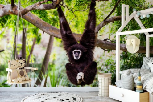 Siamang Monkey Hanging from a Tree photowallpaper Scandiwall
