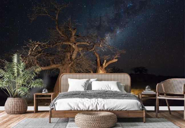 Baobab trees and the milkyway photowallpaper Scandiwall