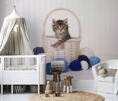 Cute Kitten in a Basket With Yarn on White photowallpaper Scandiwall