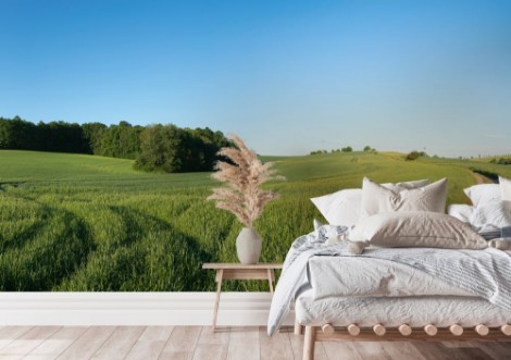 Panorama summer green field landscape with dirt road photowallpaper Scandiwall