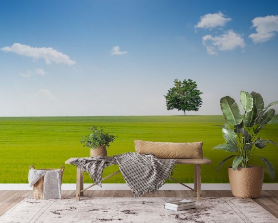 Campagne champ arbre printemps ciel bleu repos calme paysage nature vert horizon photowallpaper Scandiwall