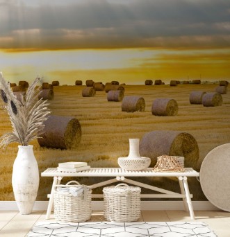 Hay bales on the field after harvest at sunrise golden hour sun photowallpaper Scandiwall