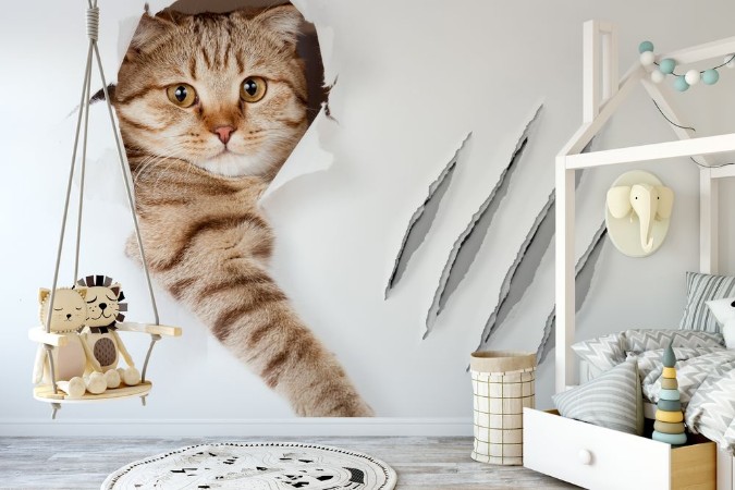 Funny cat in wallpaper hole with claw scratches isolated photowallpaper Scandiwall