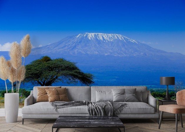 Kilimanjaro landscape photowallpaper Scandiwall