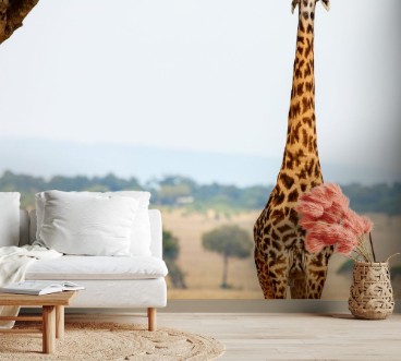 Giraffe in safari park photowallpaper Scandiwall