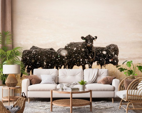 Cow in snow photowallpaper Scandiwall