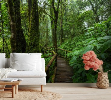 Wooden bridge walkway in to the rain forest photowallpaper Scandiwall