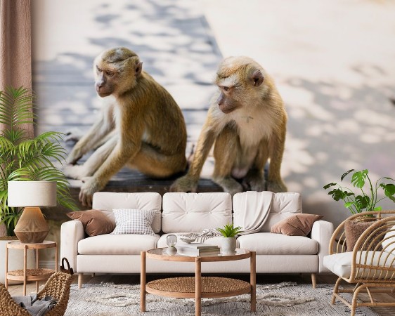 Monkey hill Thailand photowallpaper Scandiwall