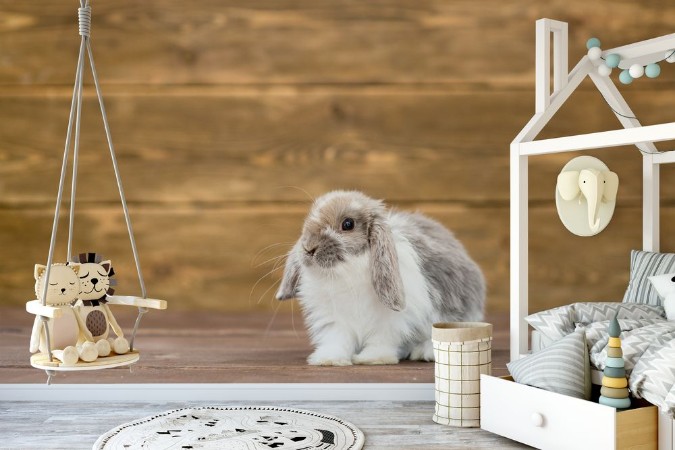 Rabbit on wooden background Empty space for text photowallpaper Scandiwall