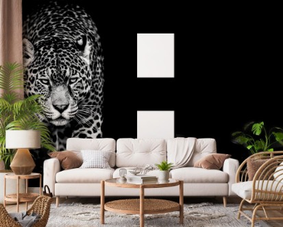 Jaguar With A Black Background photowallpaper Scandiwall