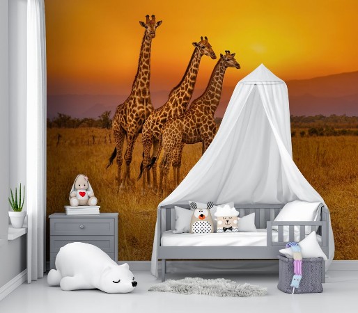 Three giraffes and an african sunset photowallpaper Scandiwall