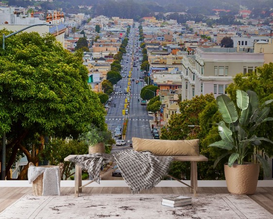 View on Top of Steep Road in San Francisco photowallpaper Scandiwall