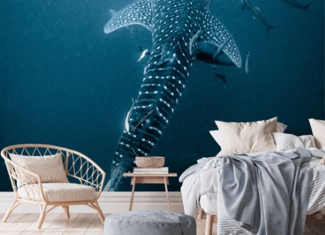 Water whale Shark photowallpaper Scandiwall