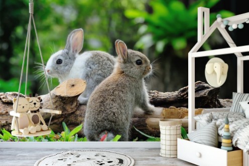 Two rabbits bunny in the garden photowallpaper Scandiwall